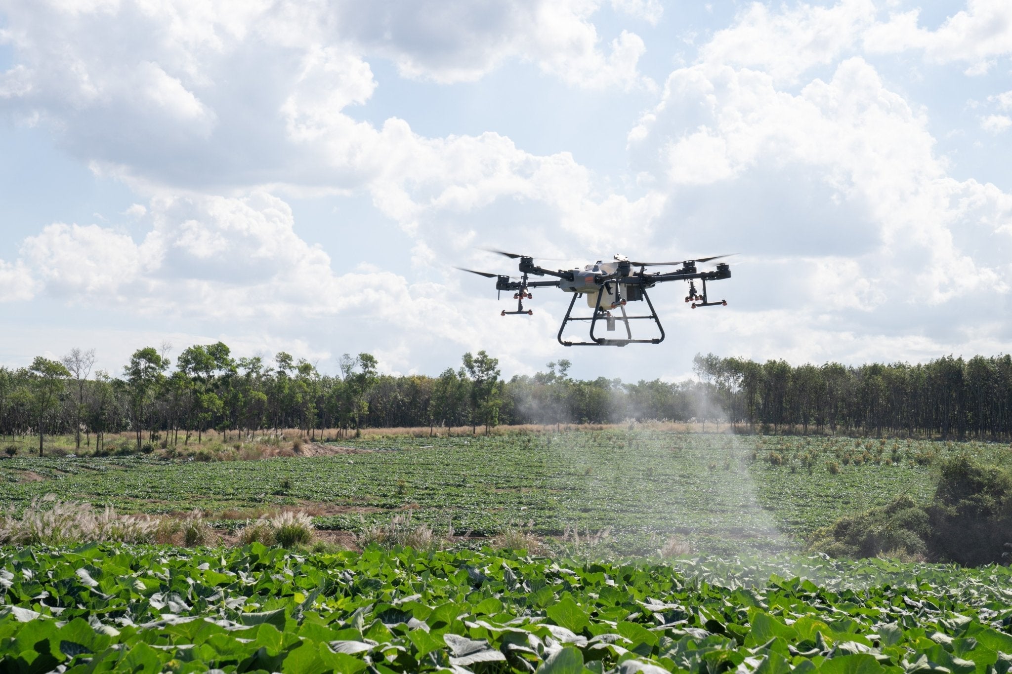 DJI Agras T30 | Empire Drone