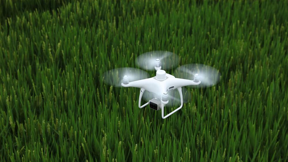 DJI Phantom 4 Multispectral | Empire Drone