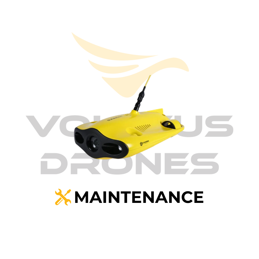 Chasing Mini/Mini S Maintenance Service