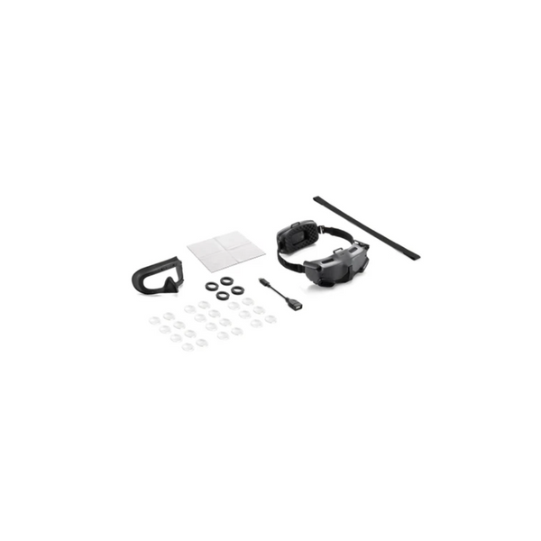 Lunettes DJI Integra