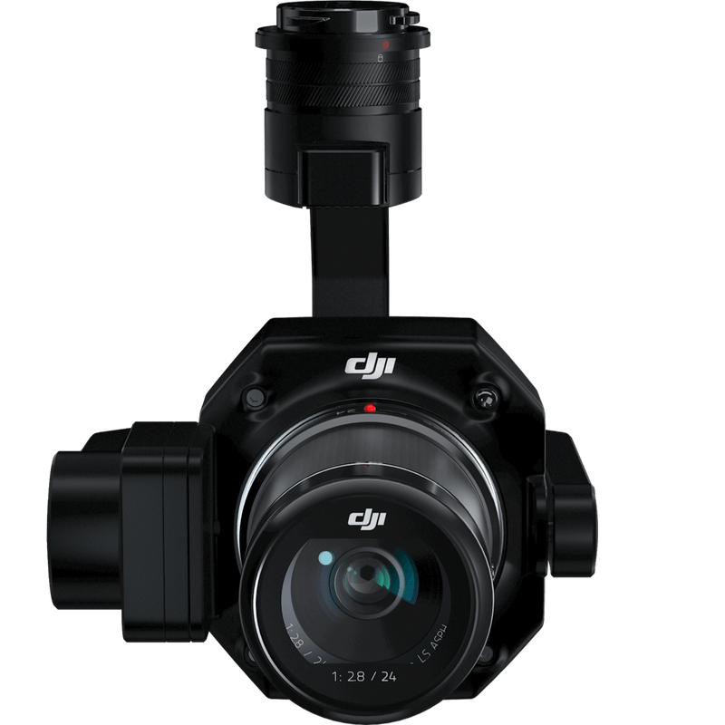 ZENMUSE P1 (Rental)