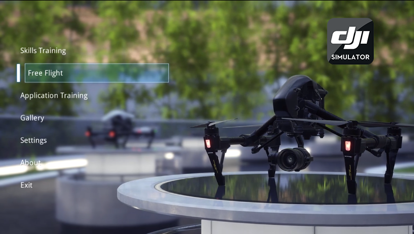 Dji flight simulator online cost